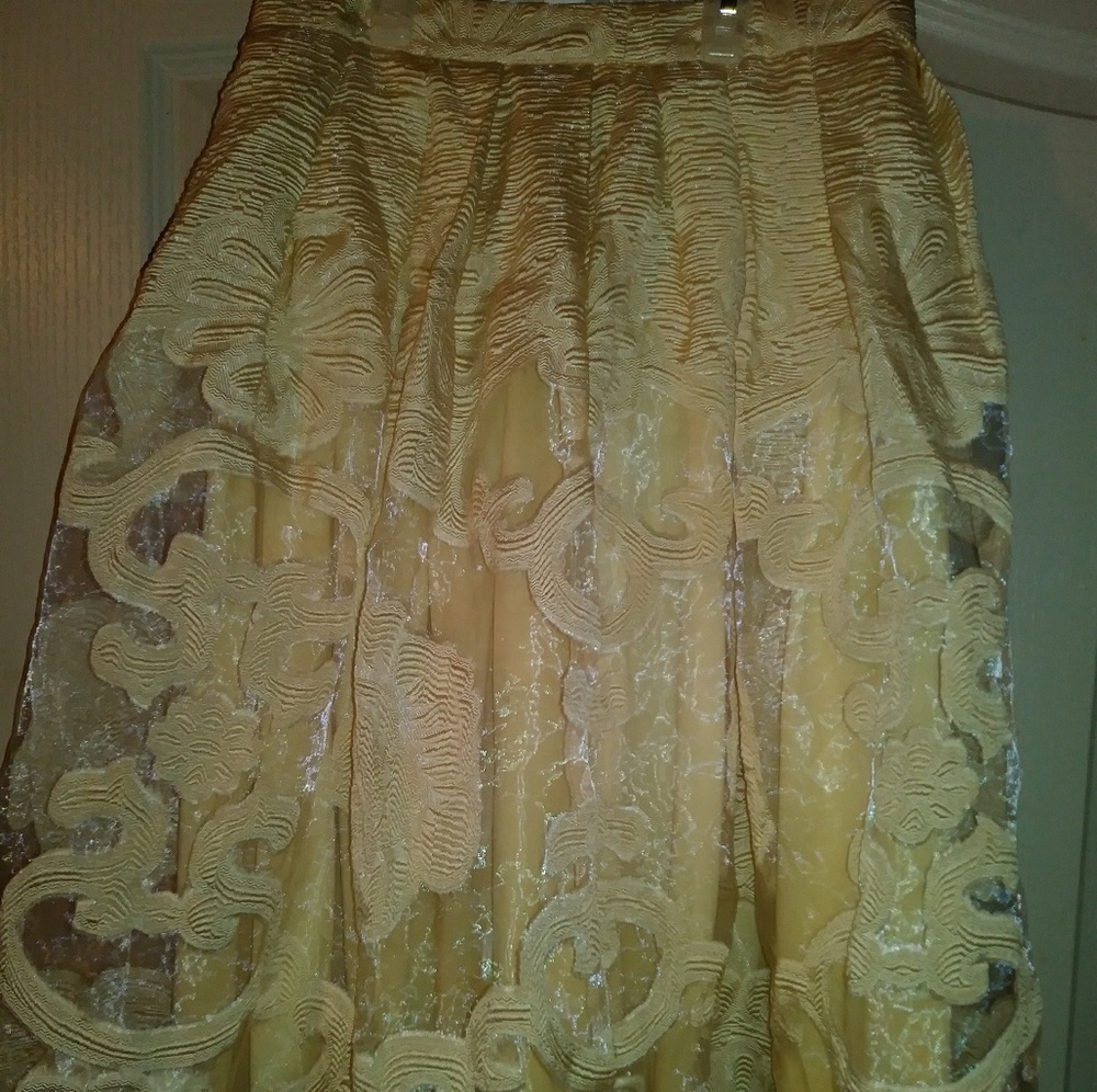 Jealous Tomato Boutique Skirt
